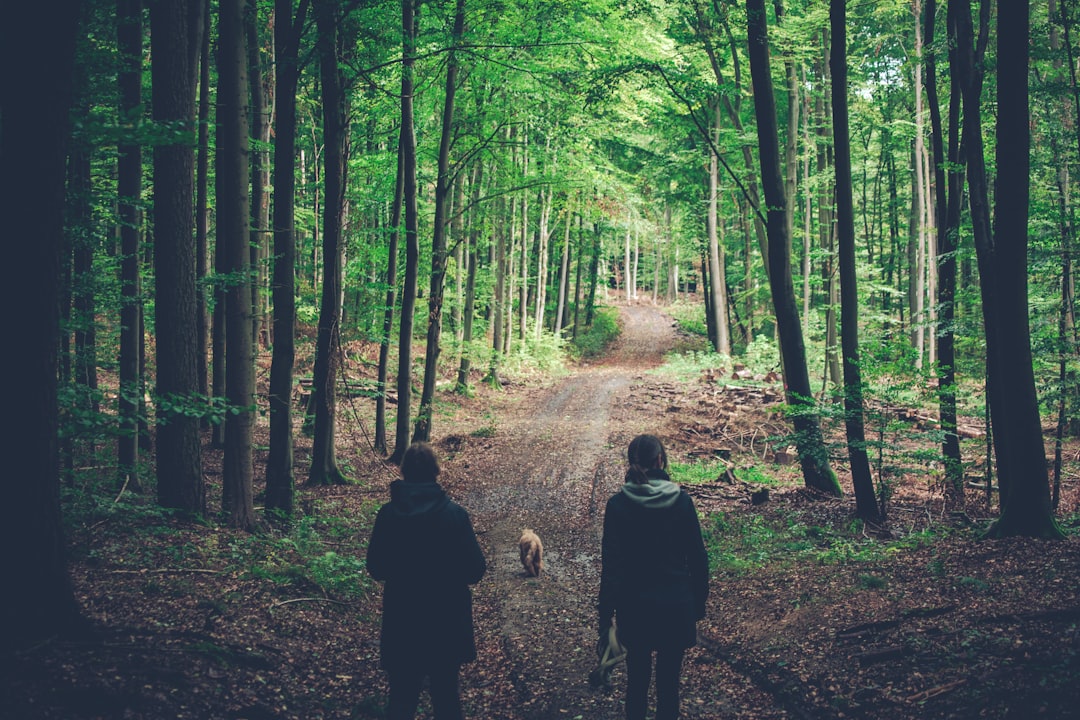 Photo Nature trail